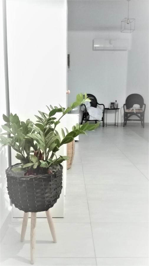 New Sea Escape Boutique Apt-Agii Aposto Li Beach خانيا المظهر الخارجي الصورة